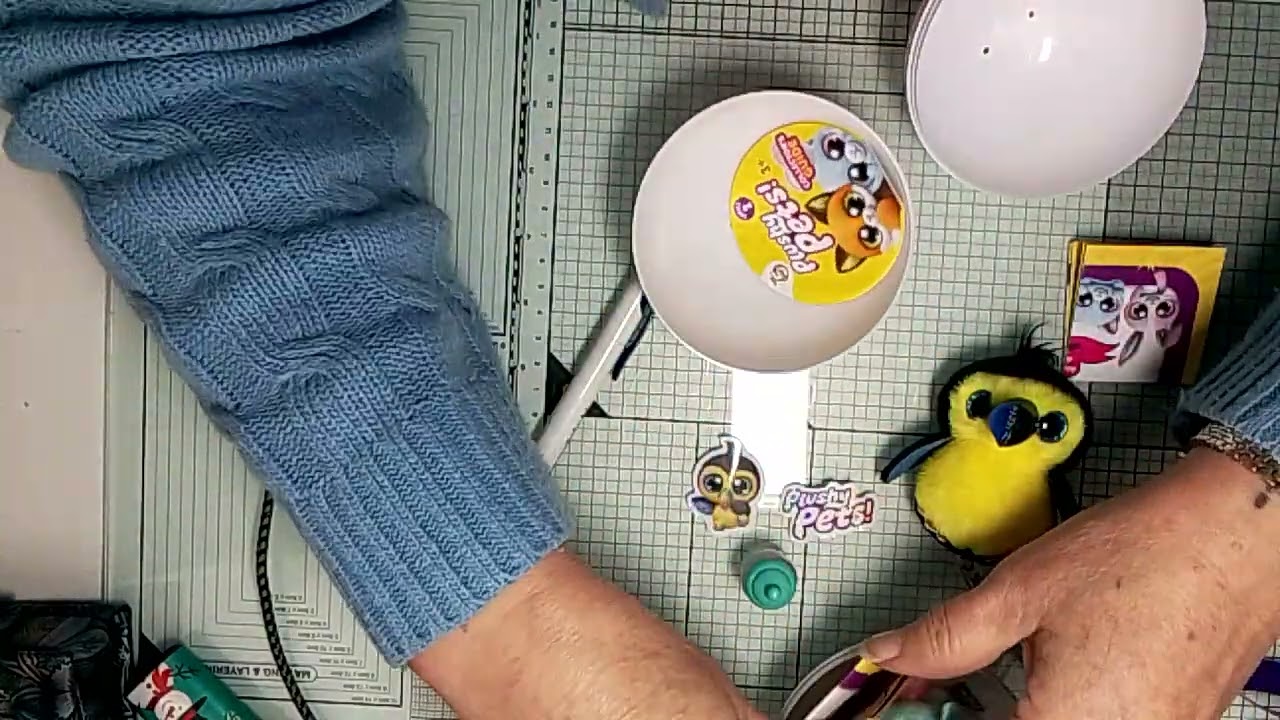 Coco ma donné le virus😂🤣😂😋