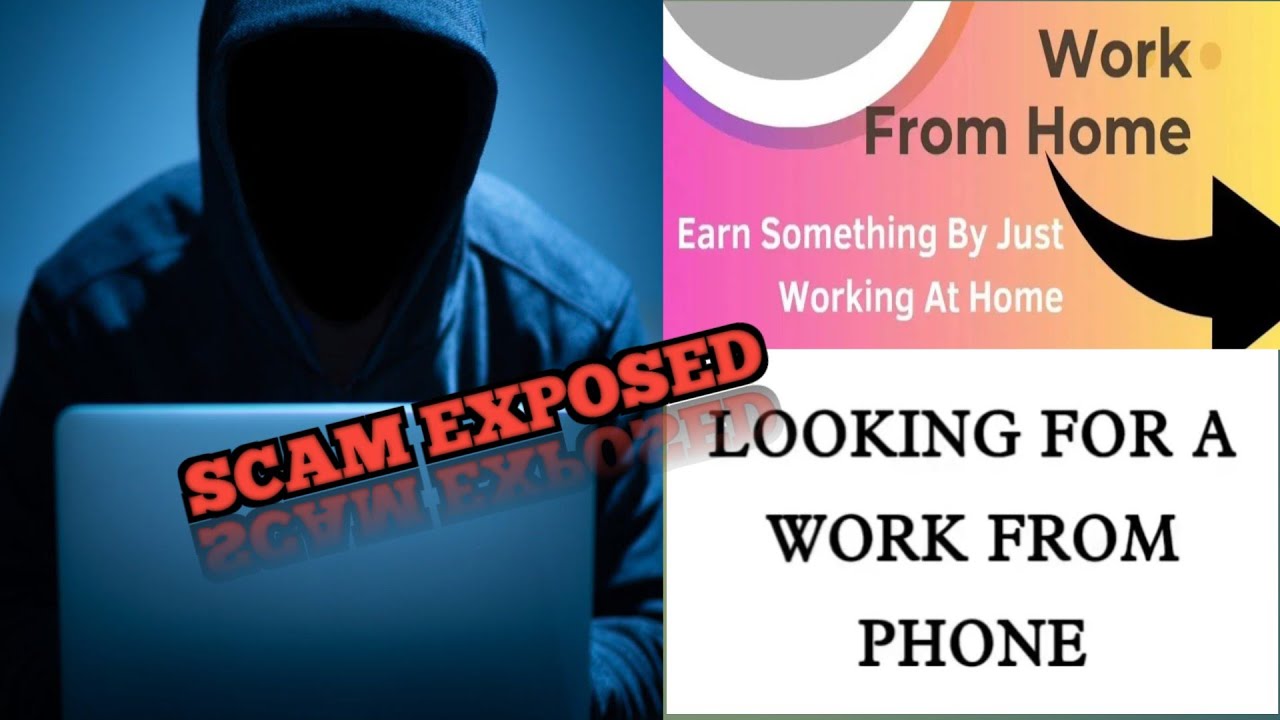 Work From Home Scam Exposed. Watch full Video 🤬