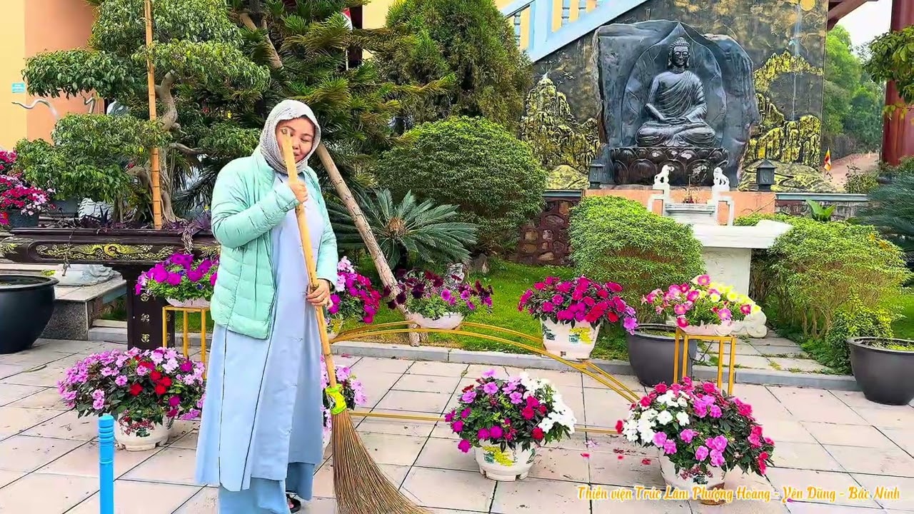 Xuân nơi cửa thiền 🎋