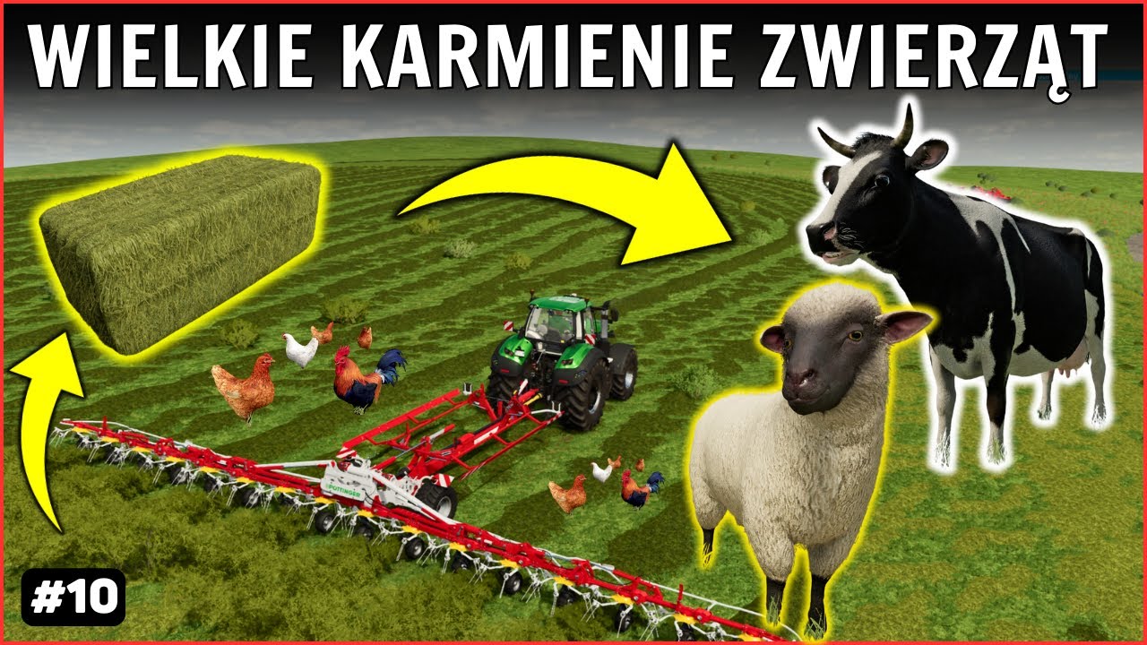 WYJĄTKOWY ODCINEK BEZ ZATRUDNIANIA PRACOWNIKÓW 🔥 WSZYSTKO ROBIĘ SAM 🔥 Uratuj rozbitka #10