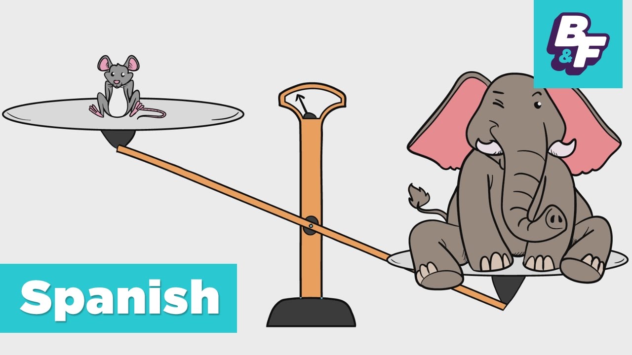 Learn Spanish Opposite Words for Children with BASHO & FRIENDS - Los Opuestos