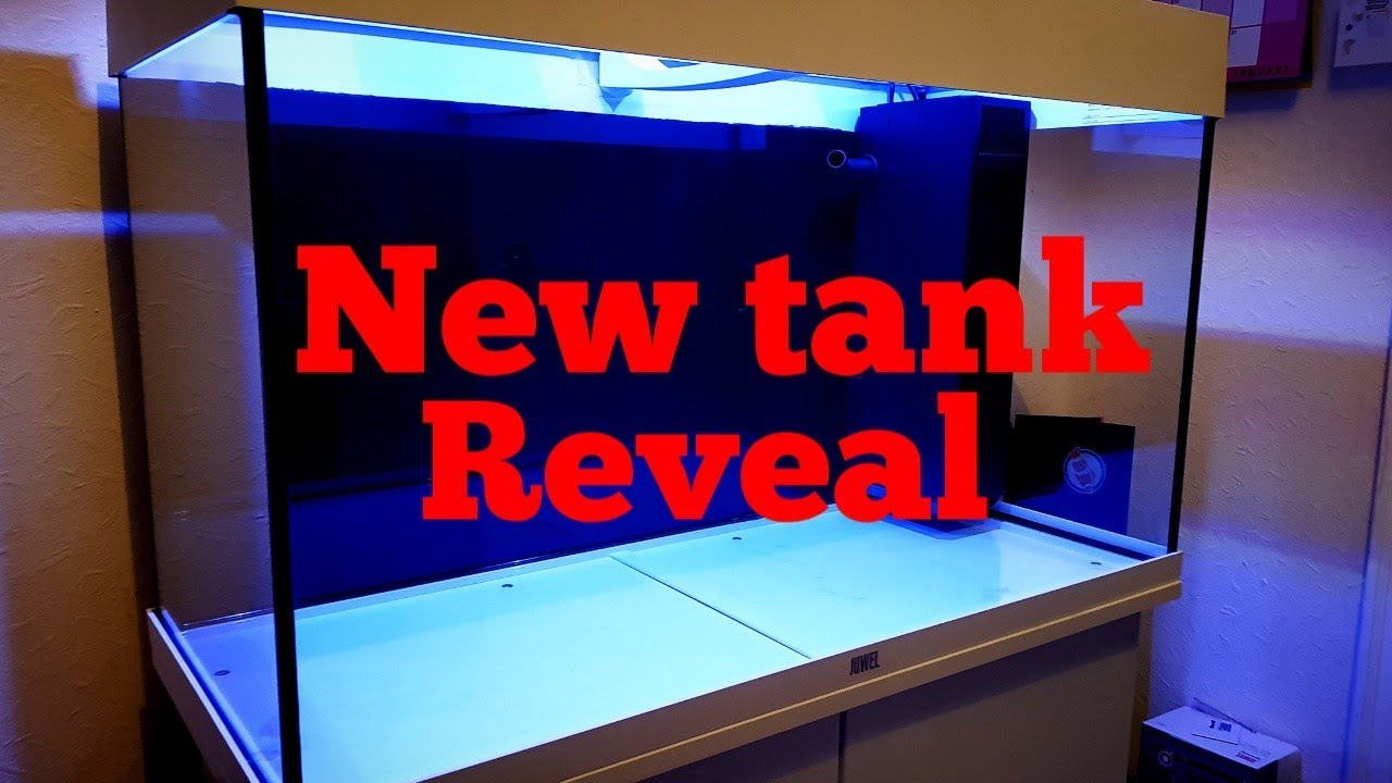 New Reef Tank is here!!!!!!
Reef tank build ep1