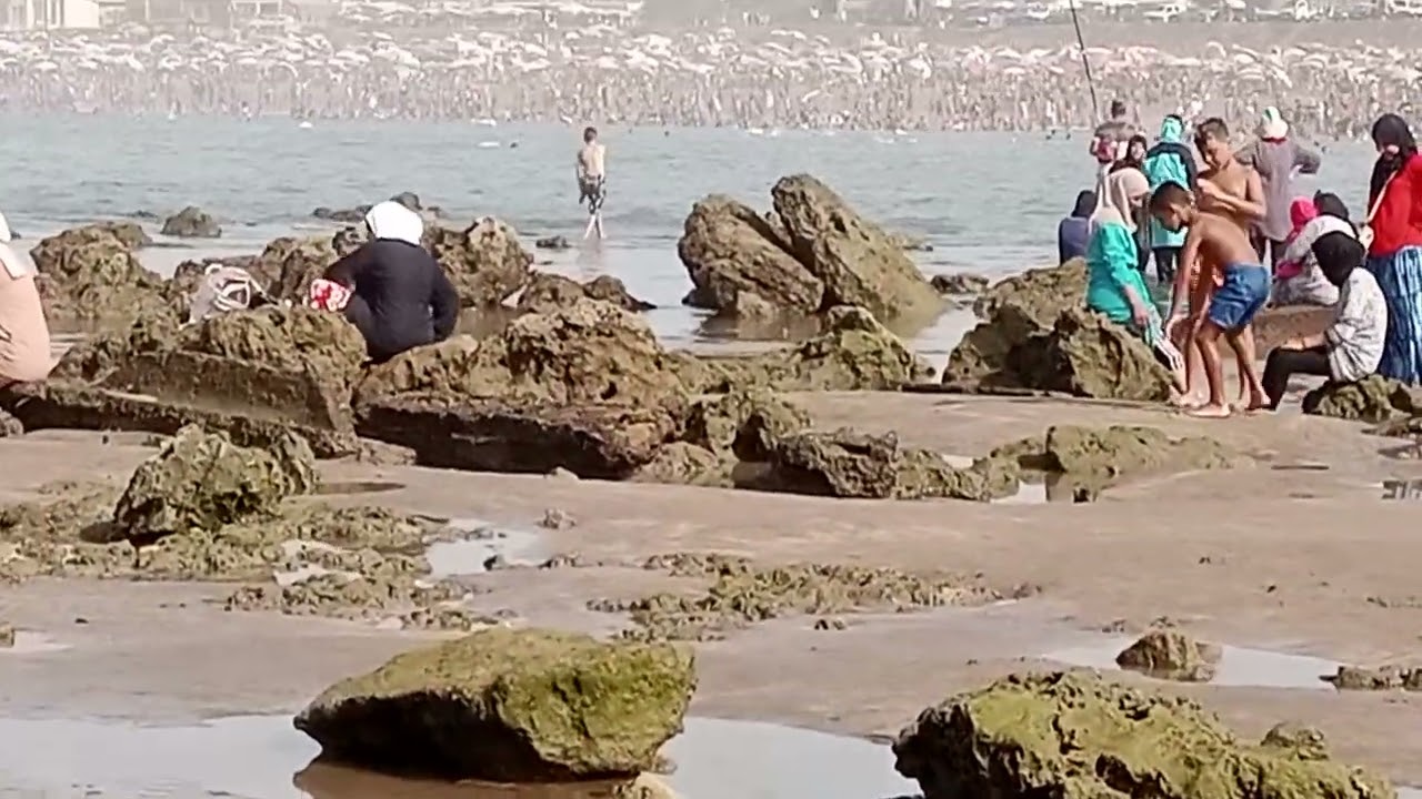 أجواء رائعة في شاطئ طماريس 🌊