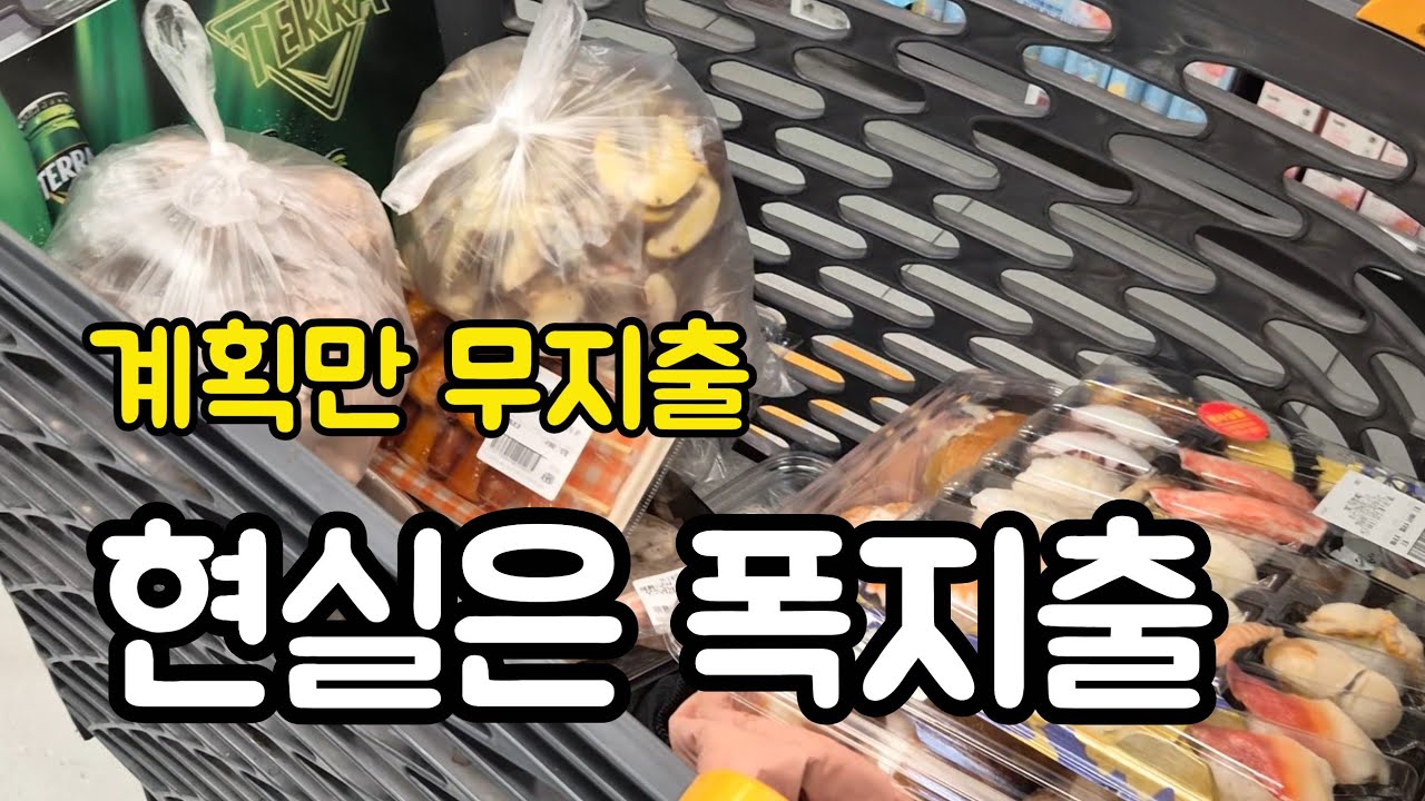 무지출 계획세웠는데.. 현실은 폭지출이었습니다 [4인가족 가계부 브이로그]