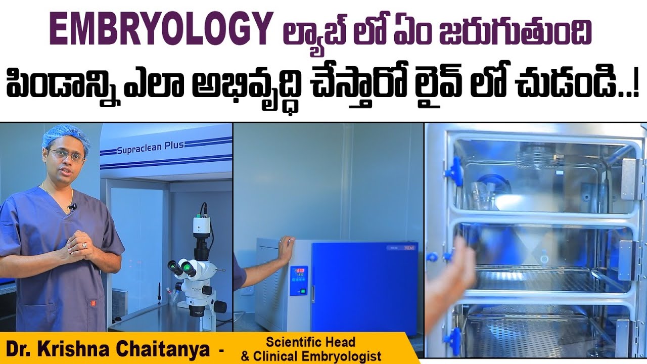 LIVE: పిండం అభివృద్ధి ఎలా || What Happens Inside An Embryology Lab || Oasis Fertility Telugu