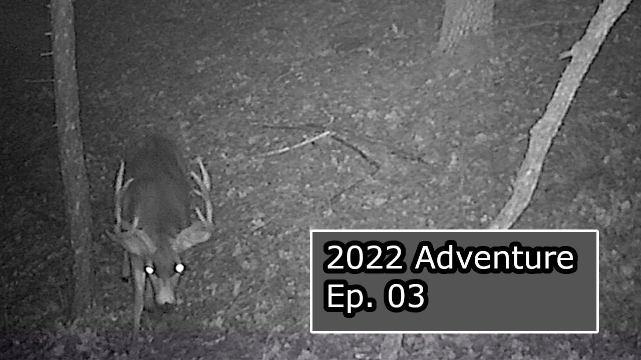MONSTER Blacktail Bucks on Camera | Checking Trail Cameras Left Over the Winter
