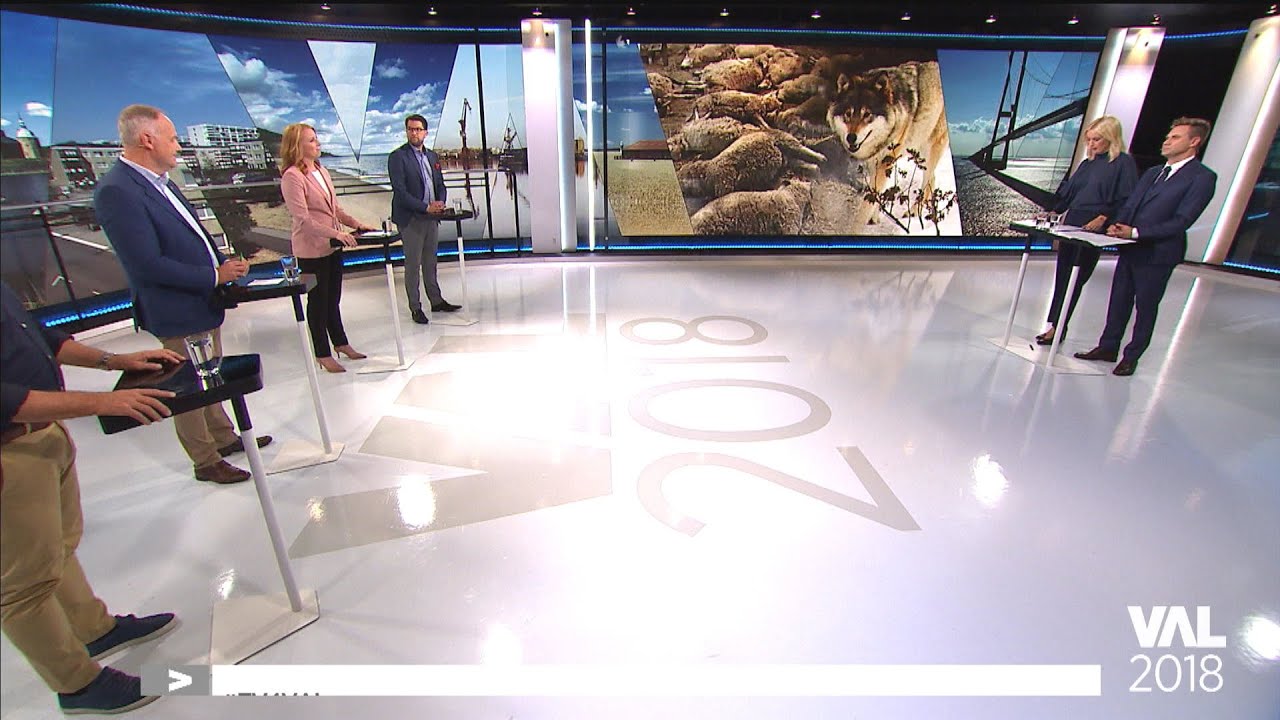 Lööf om skyddsjakt på varg: Det är en balansgång - Nyheterna (TV4)
