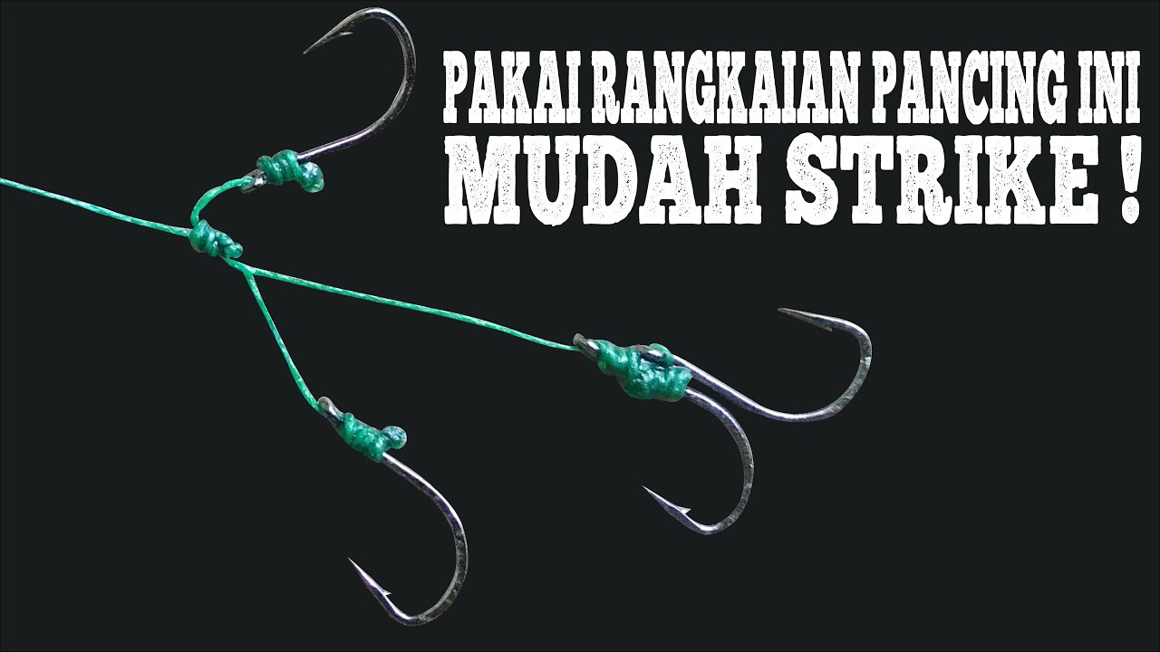 Cara Bikin Rangkaian Pancing Belanak Umpan Tepung Untuk Spot Ombak Besar, Terbukti Killer !