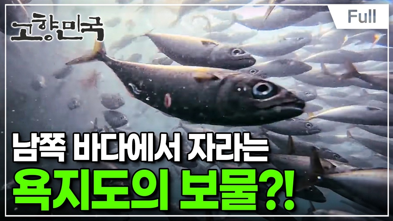 [Full] 고향민국 - 통영, 섬과 바다를 품다