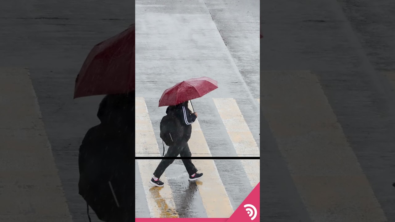 &iexcl;Hurac&aacute;n Lidia! 🌧️