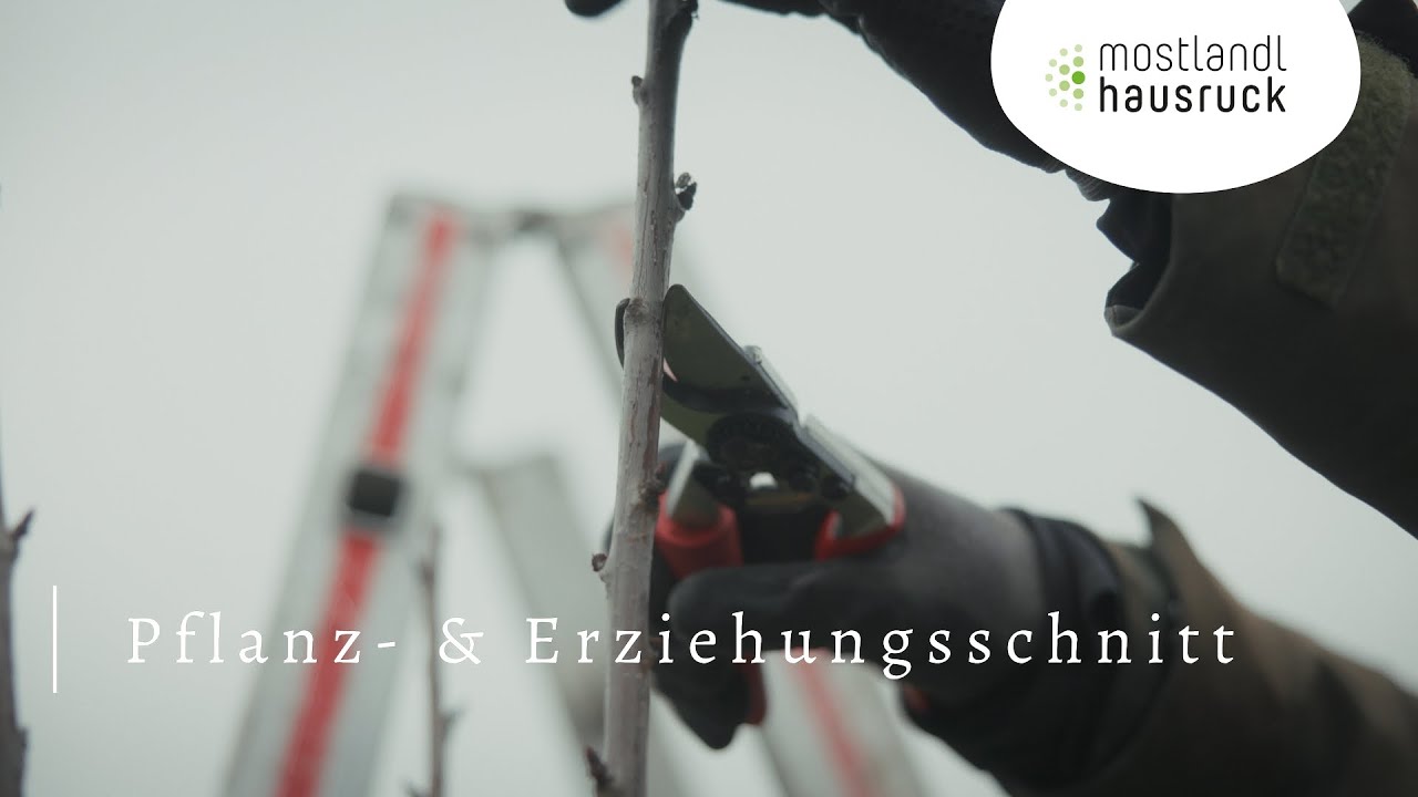 6 Pflanz- & Erziehungsschnitt