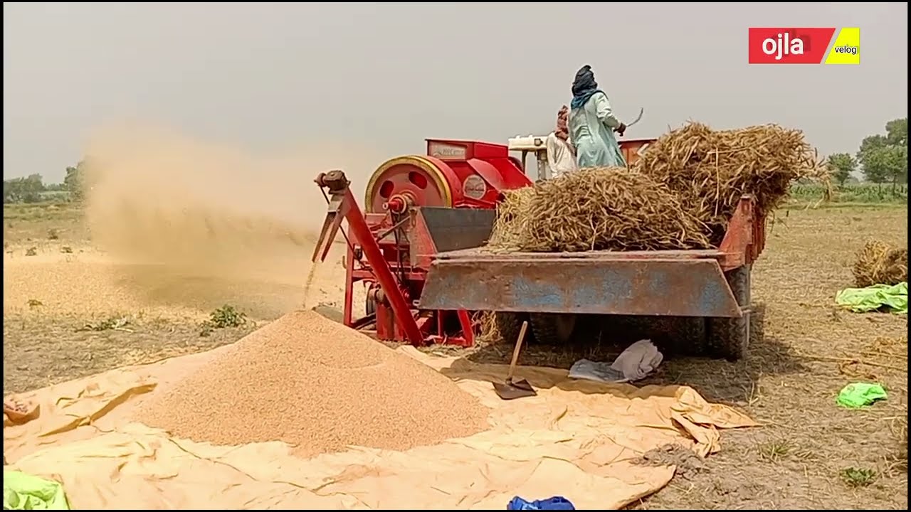 Pakistan gandham thresher village 🌾
