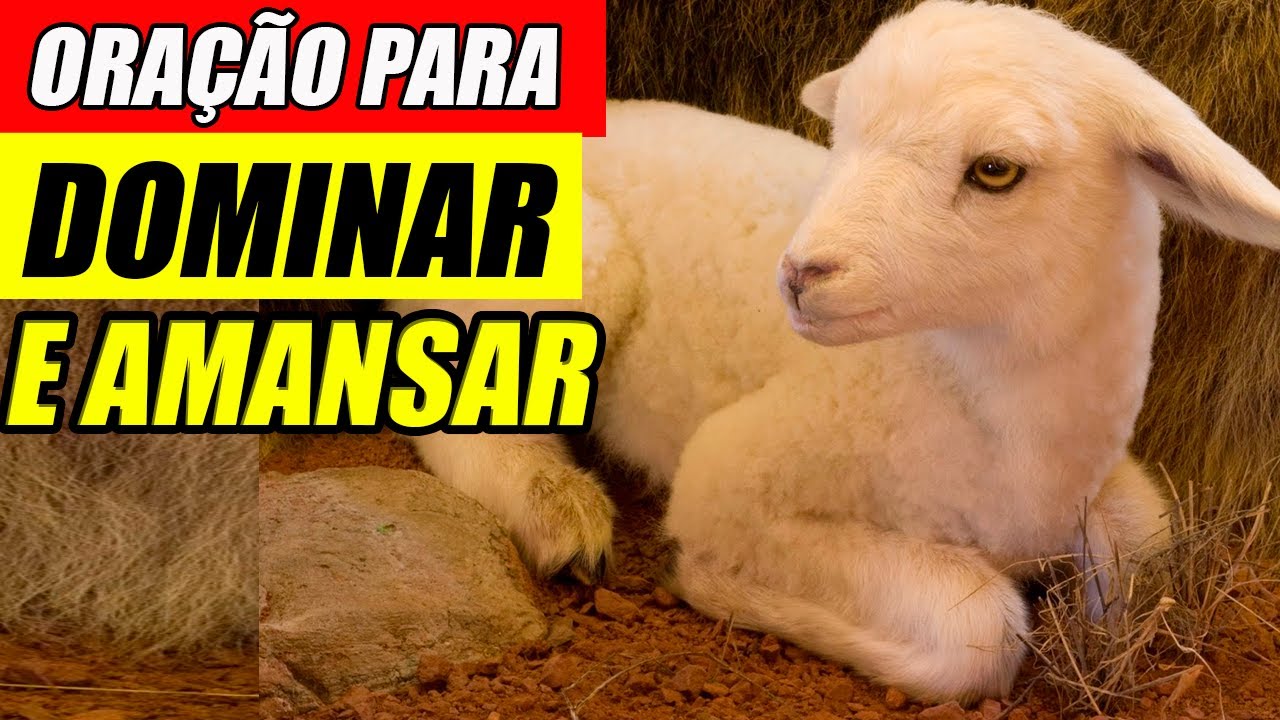 ORAÇÃO PARA DOMINAR E AMANSAR A PESSOA AMADA