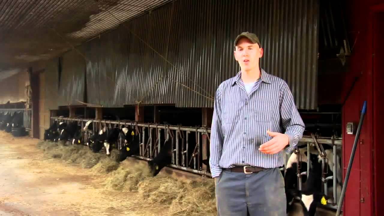 Watch it Grow!  Biosolids Fertilizer