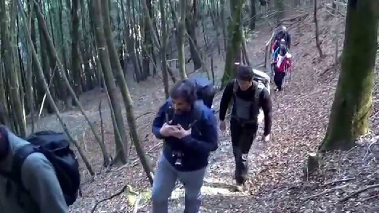 Aspromonte.Cascate -Galasia-Mundu-Grancu. Naturalmente Calabria Trek-Asproserby