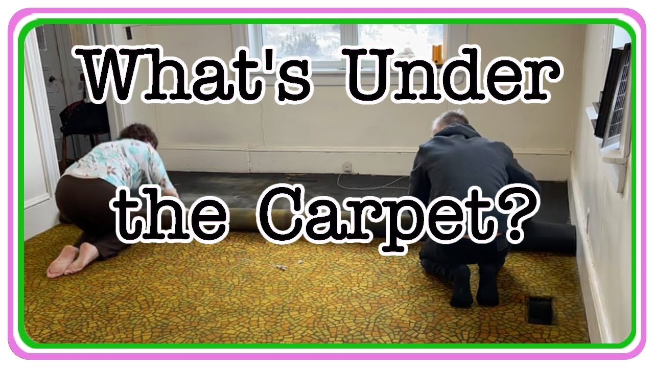 Goodbye Dining Room Carpet