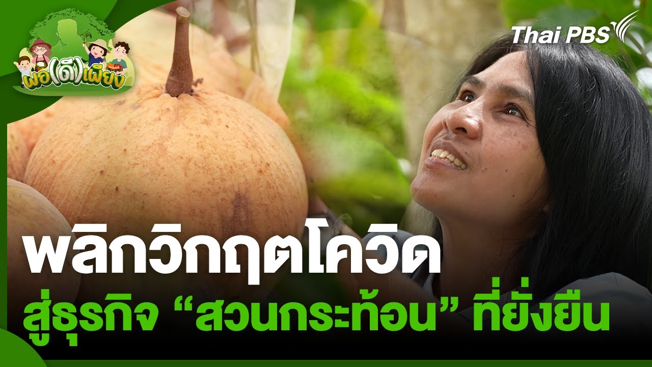 พลิกวิกฤตโควิด สู่ธุรกิจสวนกระท้อนที่ยั่งยืน | พอดีพอเพียง | วันใหม่วาไรตี้