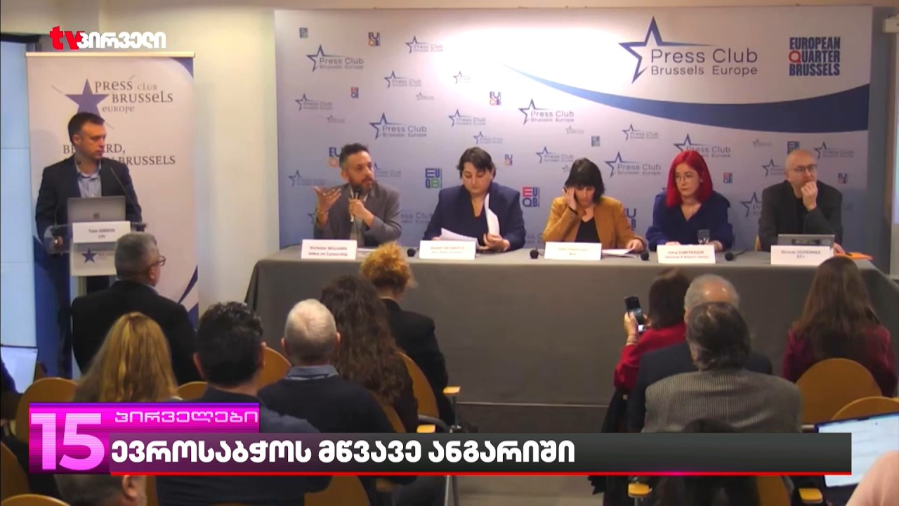 საქართველოში ვითარება საგანგაშო ტემპით გაუარესდა | რა წერია ევროსაბჭოს მწვავე ანგარიშში