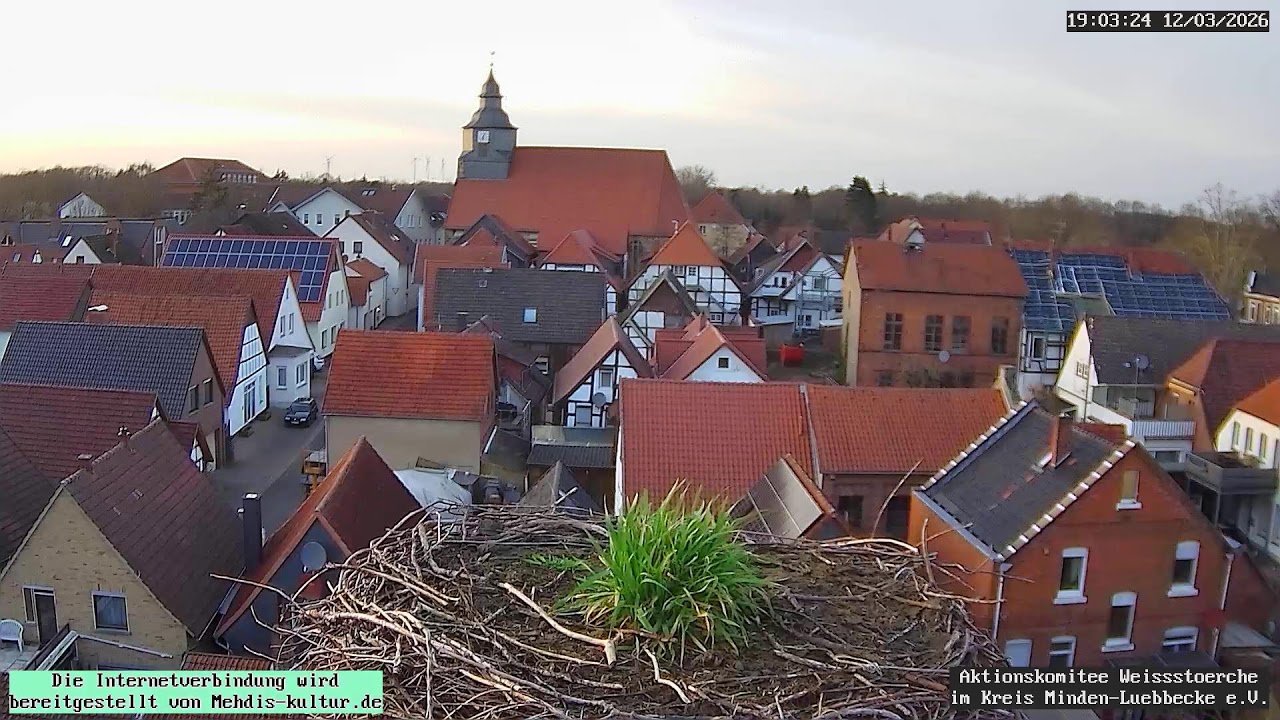 Livestream von Storchennest Petershagen