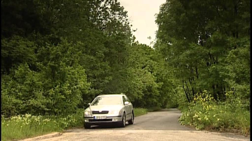 Autómánia - Skoda Octavia 1.9 TDI DSG - 2005