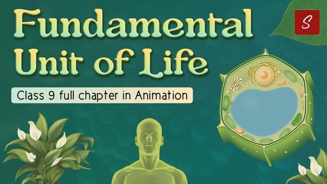 Fundamental unit of life class 9 full chapter (Animation) | class 9 science chapter 5 | CBSE | NCERT