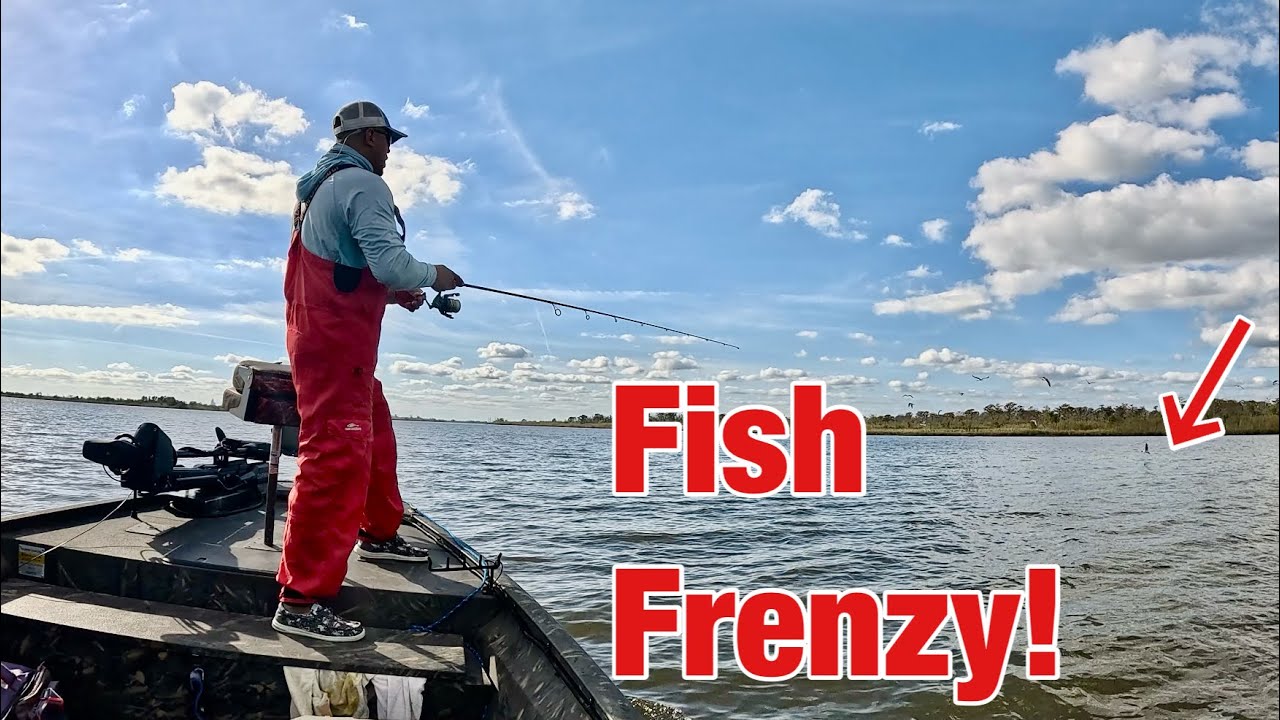 USING WORLDS CHEAPEST LURE TO CATCH FISH!
