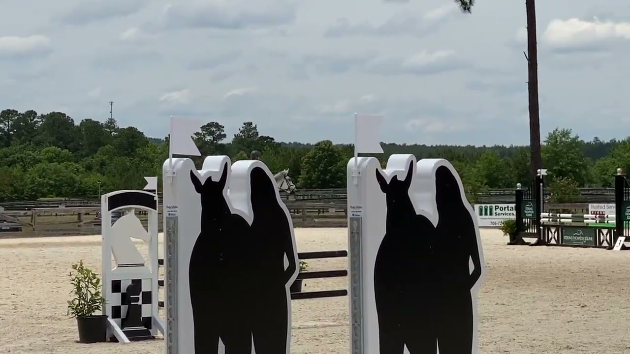 Donatella 6/2/21 Stable View training level
