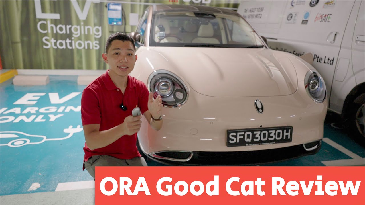 ORA Good Cat Review!