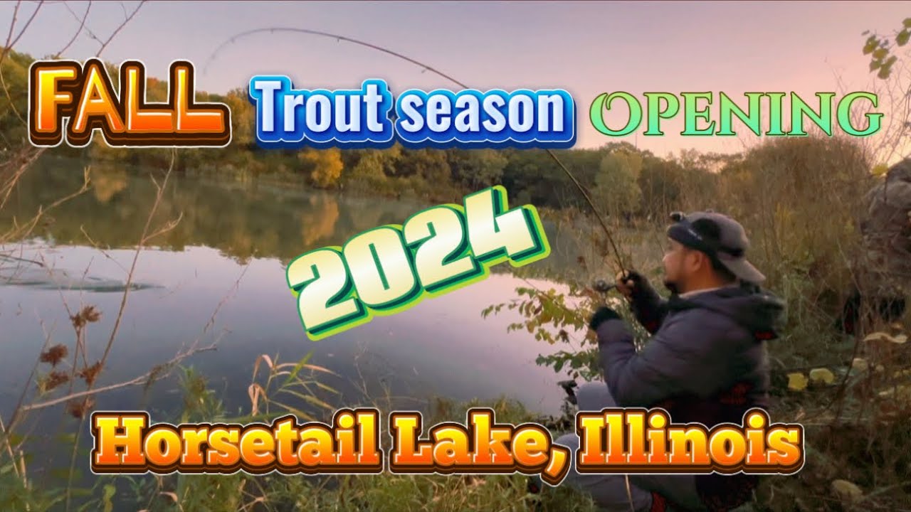 Episode 74: Fall trout season opening 2024/ horsetail lake Illinois#troutfishing#troutlurefishing