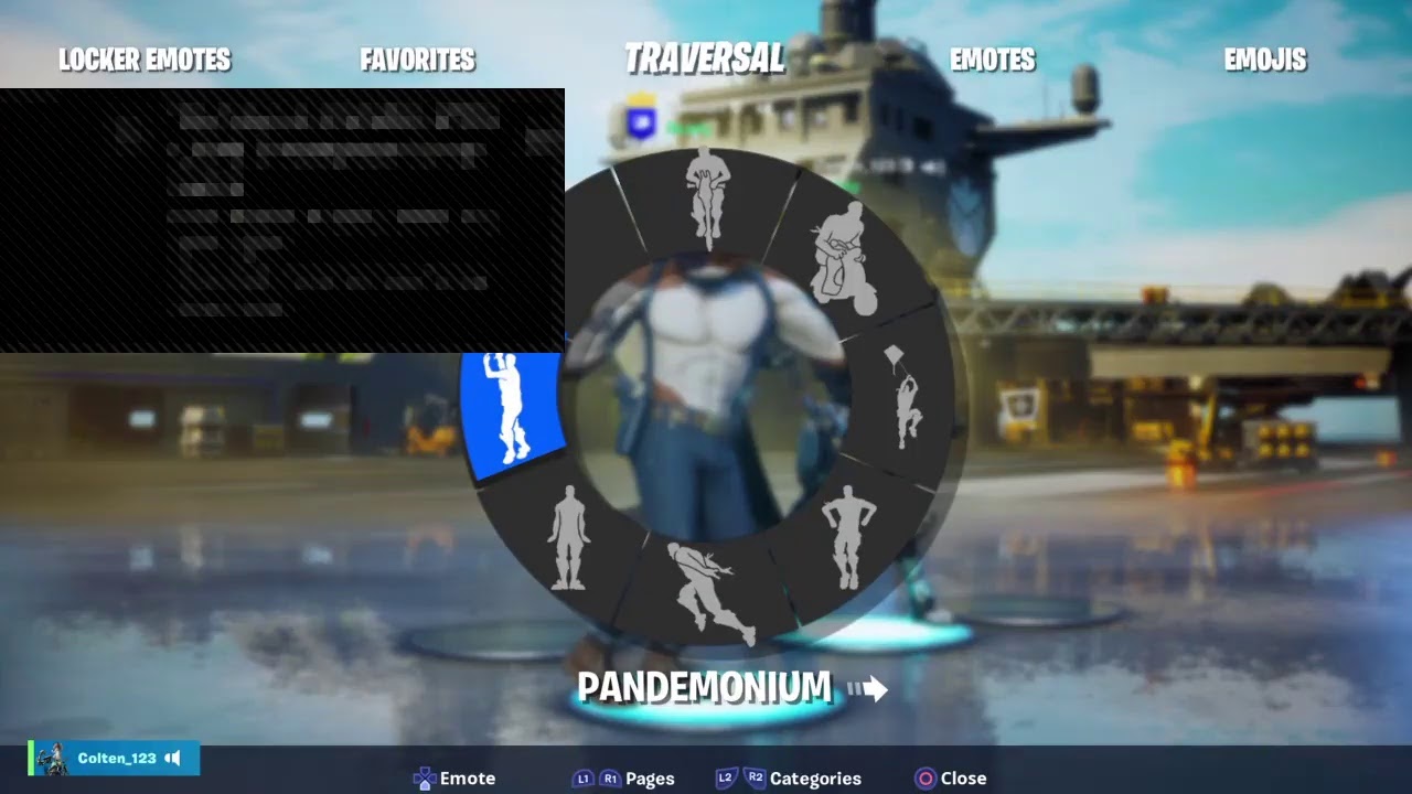 Fortnite  cat clan