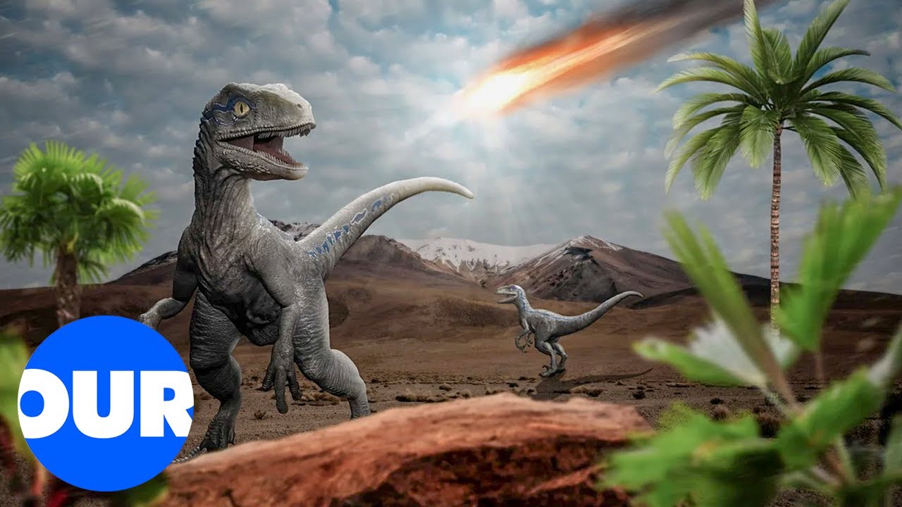 Were The Dinosaurs Really Wiped Out By A Meteor? | Our History