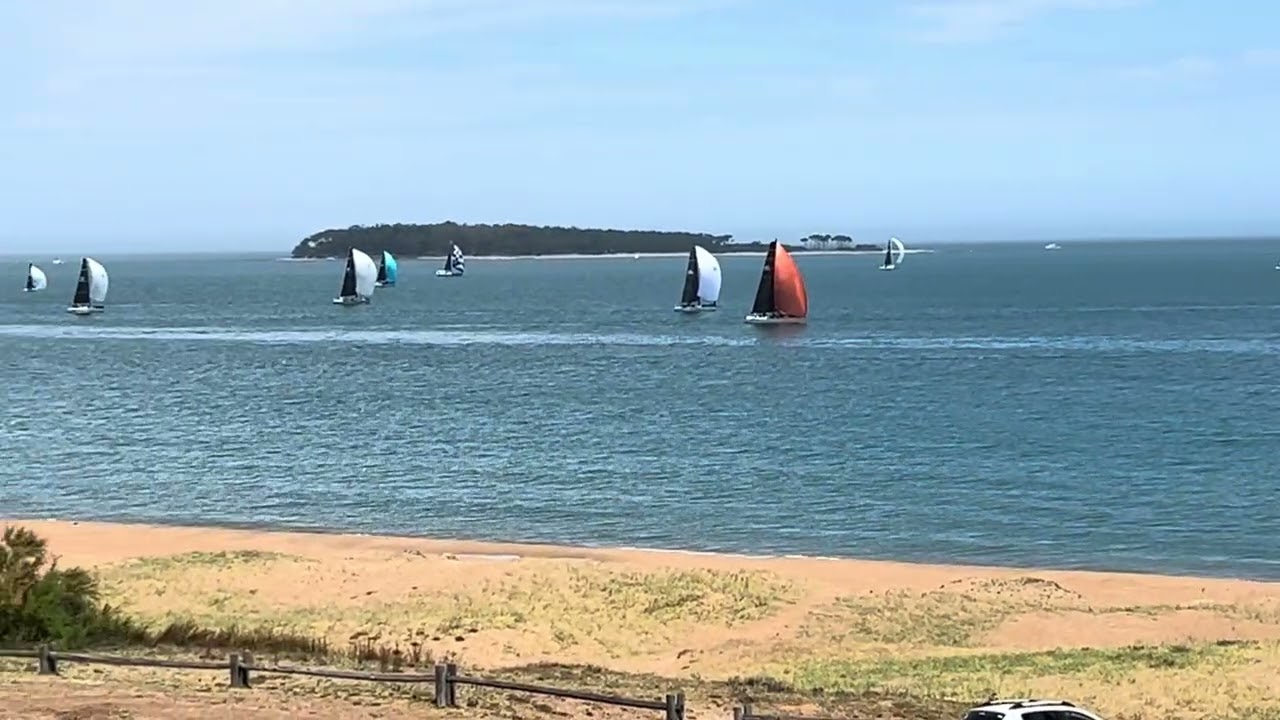 Sinfonía de velas en la bahía