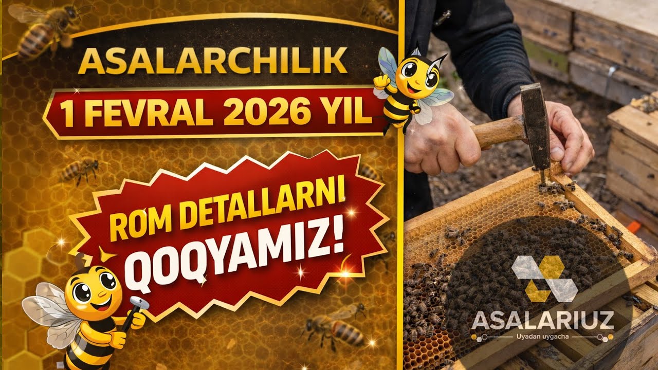 1 FEVRAL 2026. Biz nimalar qilyapmiz
