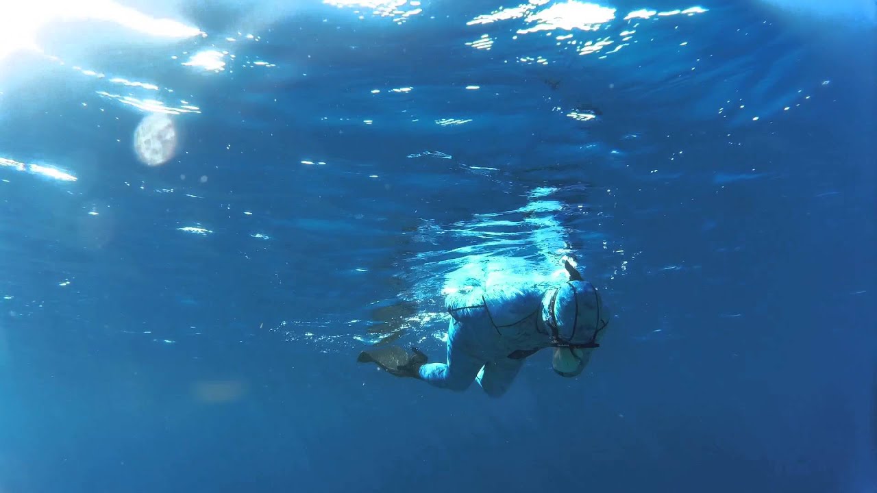 Freedive cozumel 20 meter dive. (65 feet)