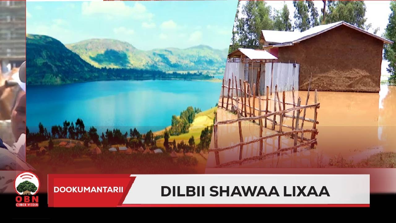 Dookumantarii shawaa lixaa |Dilbii shawaa lixaa|