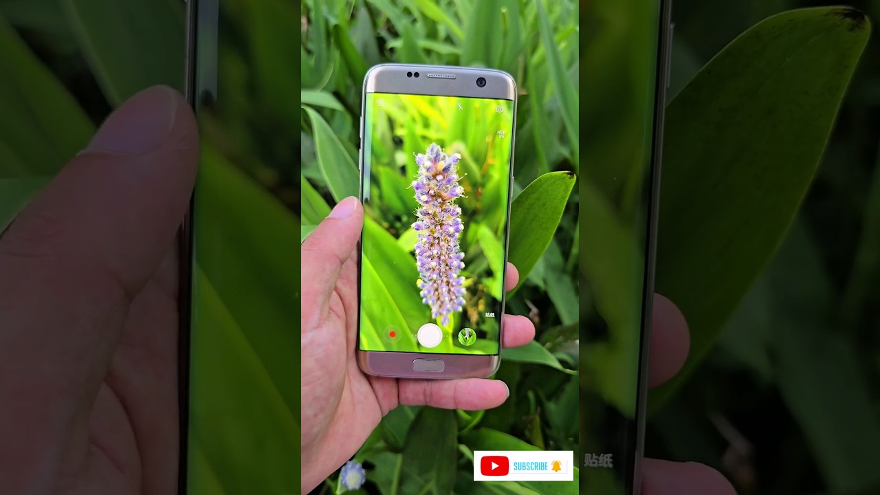 Samsung galaxy s7 edge