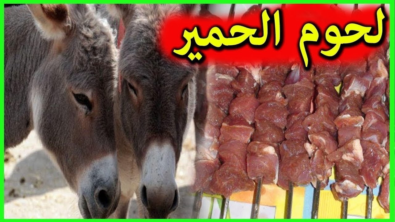 رسميا .. السماح بإستيراد لحوم الحمير و البغال إلى الجزائر