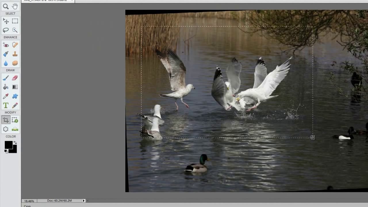 Стирание объектов в Adobe Photoshop Elements 11 — базовый урок