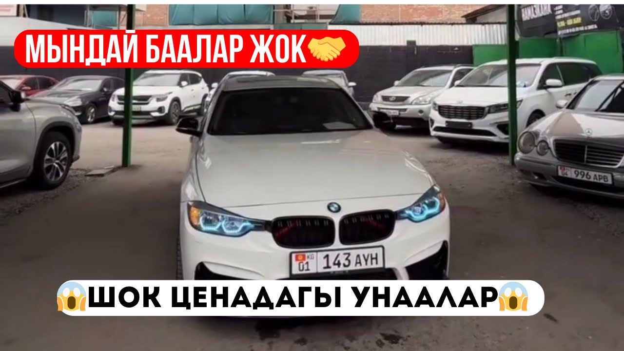 ШОК БААДАГЫ УНААЛАР МЫНДАЙ БАА ЖОК😱🔥