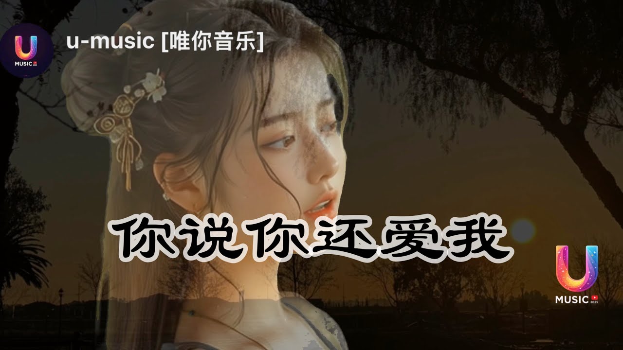 你说你还爱我