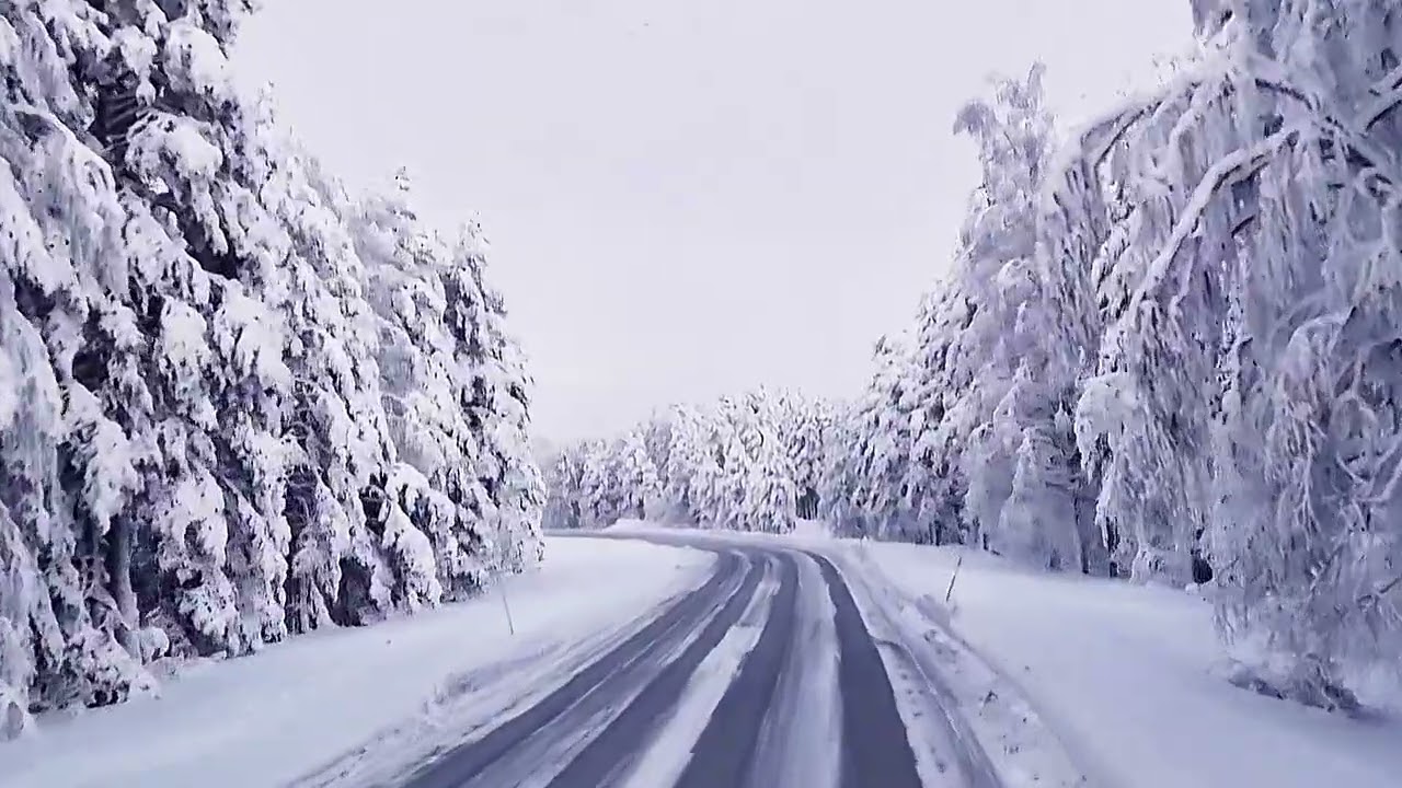 Driving Through Lapland in Winter ❄️ | Snow-Covered Roads & Arctic Silence