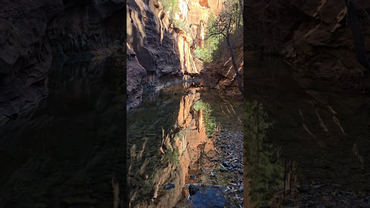 Canyon View at West Fork of Oak Creek Trail 