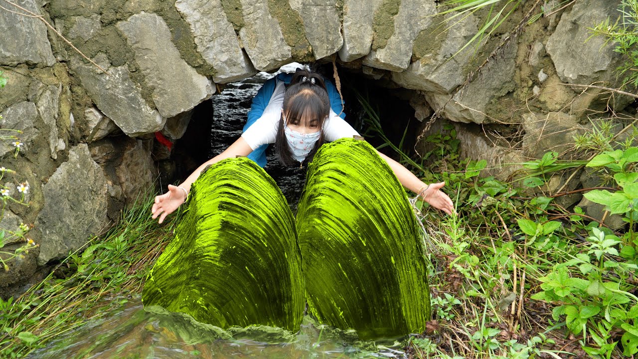 😱💎 The flood broke out and washed out the giant clams, which were filled with pearls