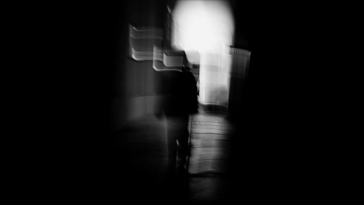 SheUsedToBeHuman - No Talk