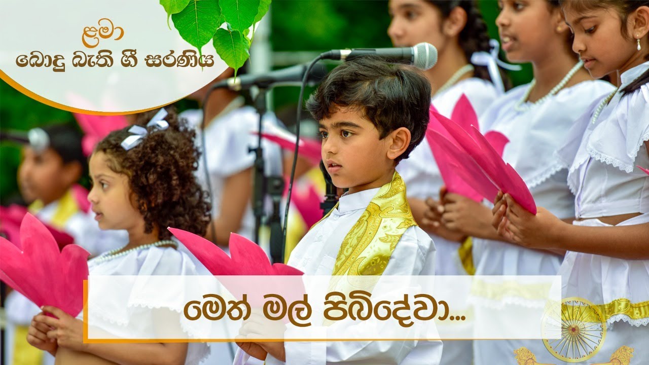 මෙත් මල් පිබිදේවා... | ළමා බොදු බැති ගී සරණිය