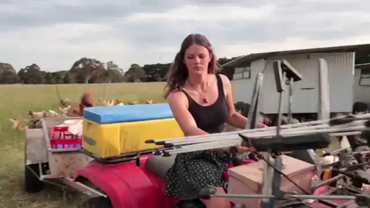 Madelaines Organic Eggs, crowd funding video.