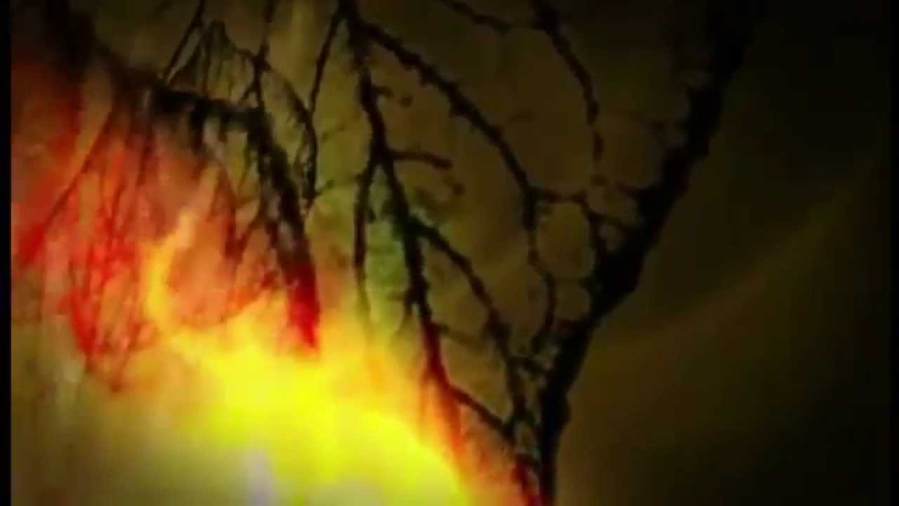 A Promise from Distant Days - best version