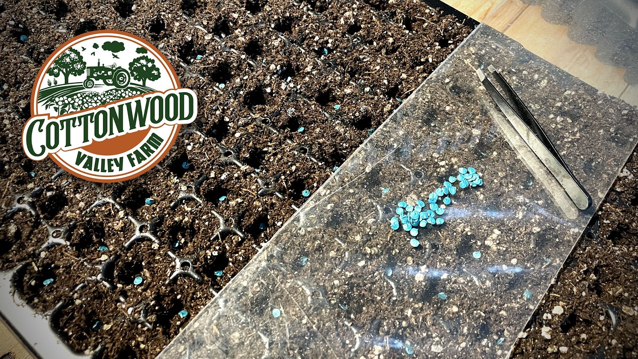 1,200 Seeds Later&hellip; The 2026 Season Begins at Cottonwood Valley Farm 🌱