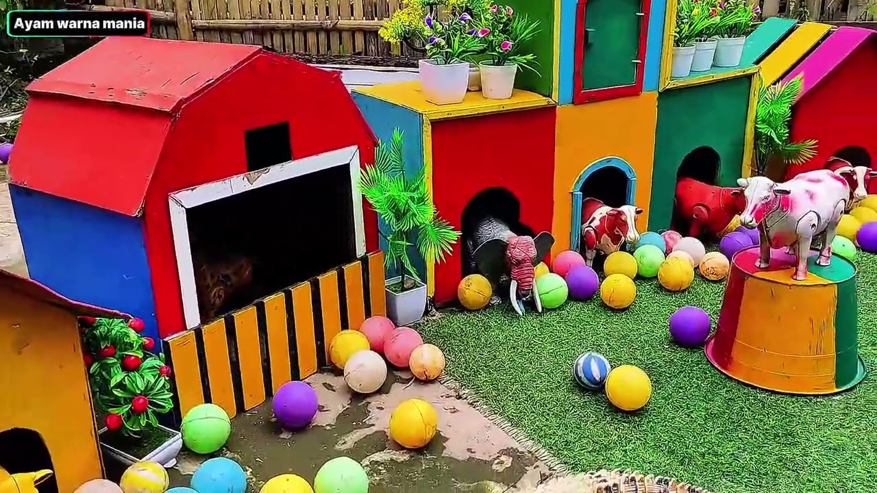 Ayam warna warni, Ayam Pelangi, Kelinci, Bebek, Sapi, dan Hewan Lucu Lainnya