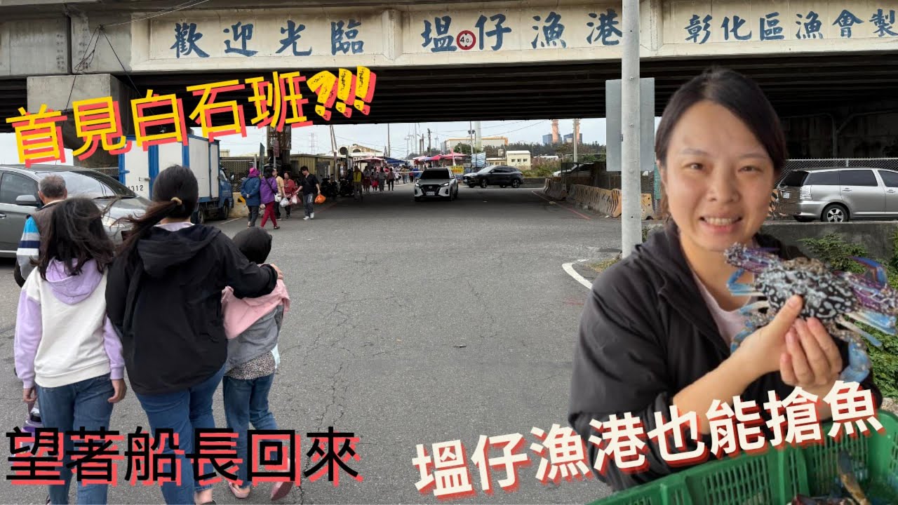 彰化塭仔漁港等待船回港搶魚，第一次見到的白石班！漁港也能玩得很像定置魚場，回港的水位比想像中低，超大之魟魚增廣見聞。#漁港 #代客料理 #一日遊 #石斑 #彰化 #台中 #螃蟹 #蝦仁 #魟魚